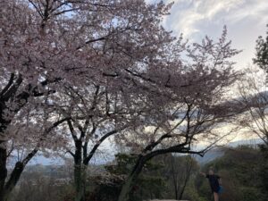 08F48FDB-9600-49E5-92F3-83B91197DB5E