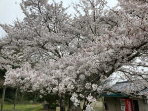 63EA27A9-4046-4FB2-A331-9761E98FB44F