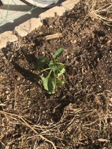 76ACBD80-0DFA-417C-8A08-15D2F6B78D8E