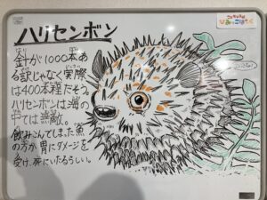 905FD0F9-980B-47C2-B876-F75F05348E9F