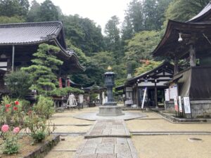 93DFE87A-5437-47B5-95A5-137129F13E4F