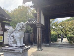 A35EE8BB-9507-4202-AAC6-A318D9849612