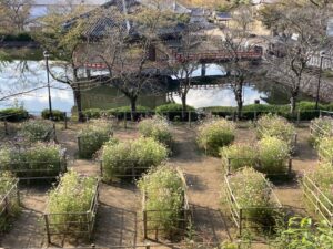 AEA5BDD0-E89D-4599-B0D2-0F26004CF22F