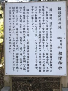 B3305163-142D-4410-8298-E7F2821A024E