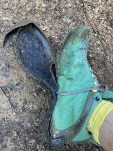 C05E075E-0551-4C54-81F8-FDED1480BA6A