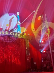 C2958926-1BCE-432B-9D2F-F2AEAF09432D