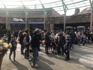 D360BC66-F407-42DE-AD12-52F9DAC35634