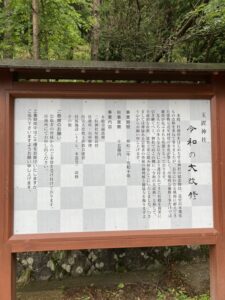 DDCEE542-21CE-4FE6-90BD-427A158D8289