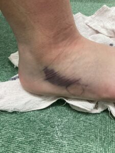 E2F45263-C40B-452A-BD6F-B61DB286B133