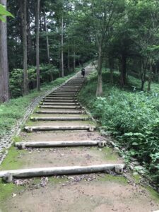 FF123F08-D28B-4F01-A9F8-EC0855046D69